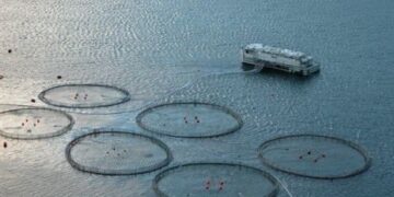 پروژه پنج هزار تنی پرورش ماهی در قفس به بهره برداری می رسد