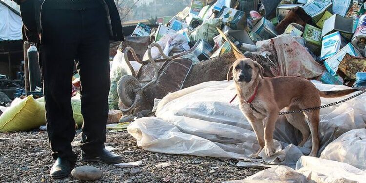 واکنش فوری شهرداری به انتشار خواسته مردمی در ندای هرمزگان؛ گرداتوق های غیر مجاز ضایعاتی نقره داغ شدندنندگان پا
