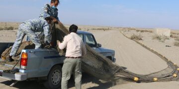 دستگیری 10نفر از صیادان غیرمجاز در جاسک