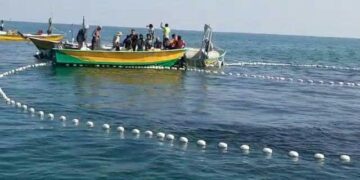 کاهش ذخایر دریایی آرام آرام هویدا می شود