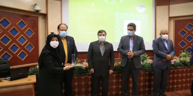 وزیر نیرو از مدیرعامل شرکت توزیع برق هرمزگان قدردانی کرد