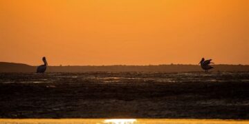 تخصیص اعتبار برای ایجاد زیرساخت گردشگری ساحل بندزرک