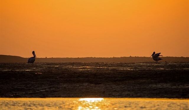 تخصیص اعتبار برای ایجاد زیرساخت گردشگری ساحل بندزرک