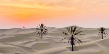 مالچ پاشی خوب، بد، زشت ندای هرمزگان وضعیت تثبیت شن های روان در شرق هرمزگان را بررسی کرد