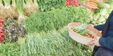 چراغِ سبزی قرمز شد