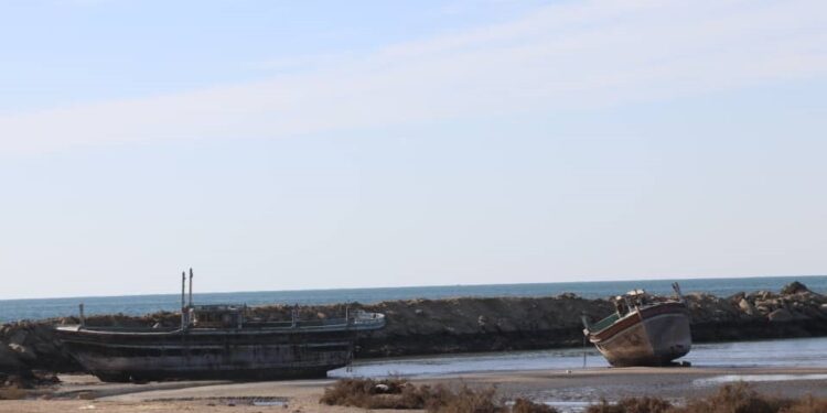 صید ترال، سفره صیادان جاسکی را خالی کرد