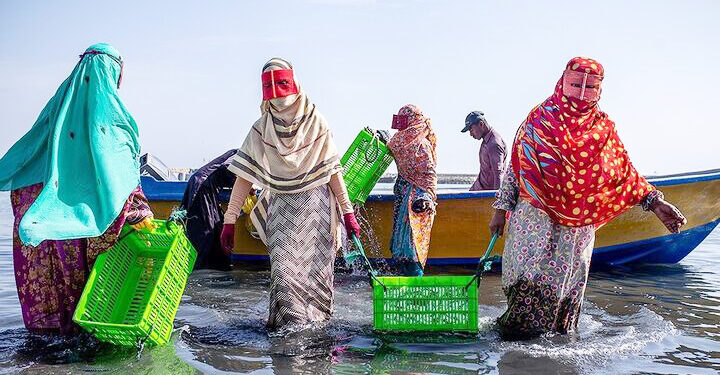 صدور مجوز صید برای ۳۰ بانوی صیاد هنگامی