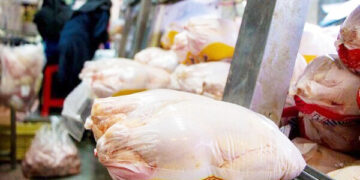 زنگ خطر تعطیلی مرغ فروشی ها به صدا در آمد مرغ فروشی ها در آستانه ورشکستگی