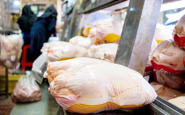 زنگ خطر تعطیلی مرغ فروشی ها به صدا در آمد مرغ فروشی ها در آستانه ورشکستگی