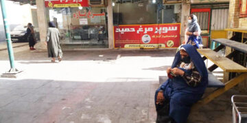 پرواز پنهانی مرغ هرمزگان