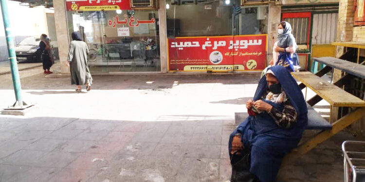 پرواز پنهانی مرغ هرمزگان