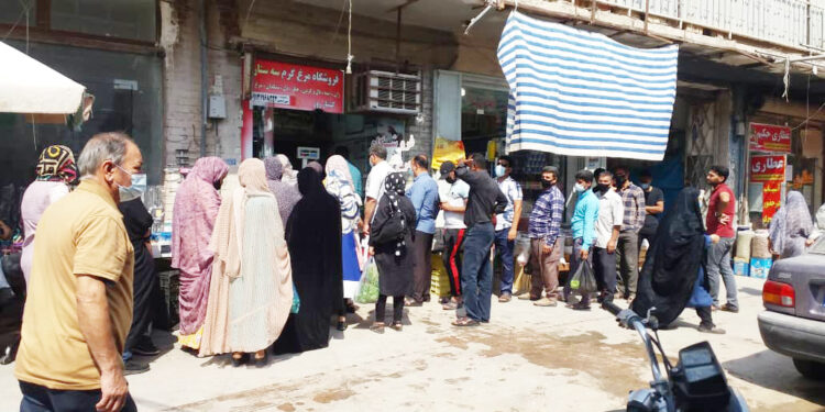 بازار مرغ در التهاب و نگرانی