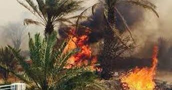 آتش‌سوزی ۵۱ میلیارد ریال به کشاورزان سیاهو خسارت وارد کرد