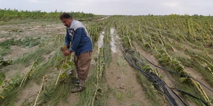 بارندگی 40 میلیارد ریال به هرمزگان خسارت وارد کردظ