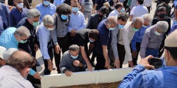 منصور نعیمی