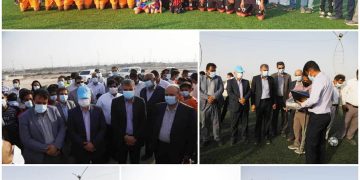 زمین چمن مصنوعی دلفین