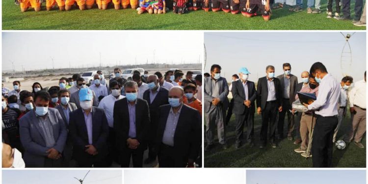 زمین چمن مصنوعی دلفین