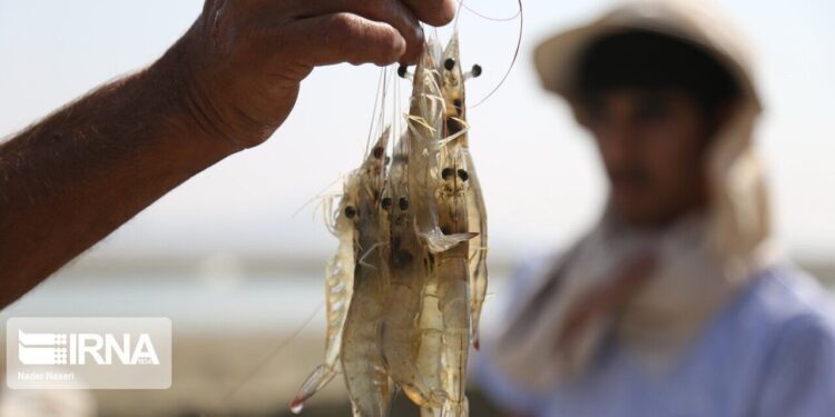 بهره برداری از 9 طرح شیلاتی با دستور رییس جمهور