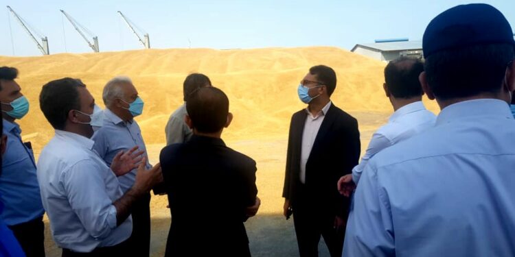 ترخیص ۶۵ هزار تن جو انباشته شده از بندر شهید رجایی