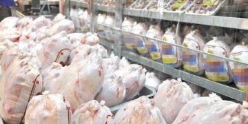 مرغ پر کشید