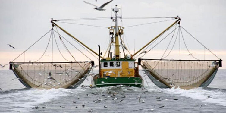 شناورهای صید ترال به نفع دولت ضبط می شوند