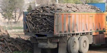 کنترل محموله های چوب در جاده های مواصلاتی بندرعباس