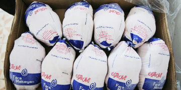 آغاز توزیع هوشمند کالاهای اساسی در بندرعباس؛ مرغ منجمد و تخم مرغ در صف توزیع