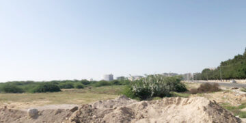 شمارش ریه های شهر