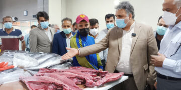 در بازدید مدیرکل تعزیرات حکومتی هرمزگان تصمیم گیری شد؛ مهلت یک هفته ای برای تعیین تکلیف وضعیت بهداشت بازار ماهی فروشان