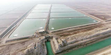 پیش‌بینی افزایش 100 درصدی برداشت میگوی پرورشی در هرمزگان