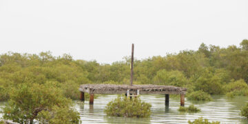 بندرخمیر در فهرست شهرهای تالابی جهان قرار گرفت