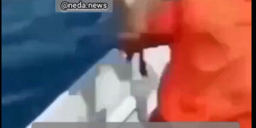 عاملان پرت کردن دام‌ها در دریا دستگیر شدند