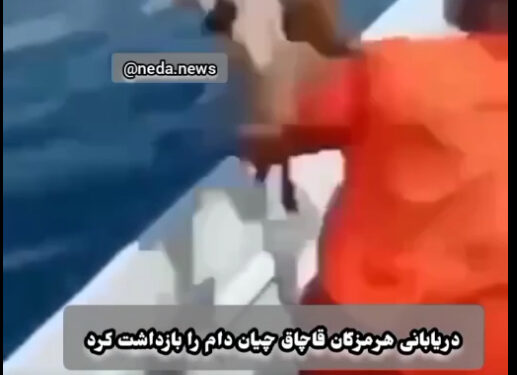 عاملان پرت کردن دام‌ها در دریا دستگیر شدند