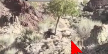 اینجا خبری از واکسیناسیون نیست