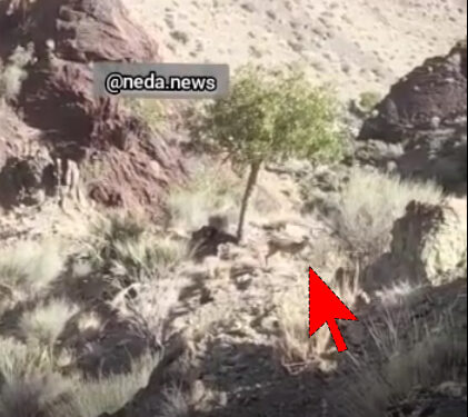 اینجا خبری از واکسیناسیون نیست