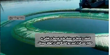 کشف بيش از 100 هزار ليتر سوخت قاچاق در ميناب