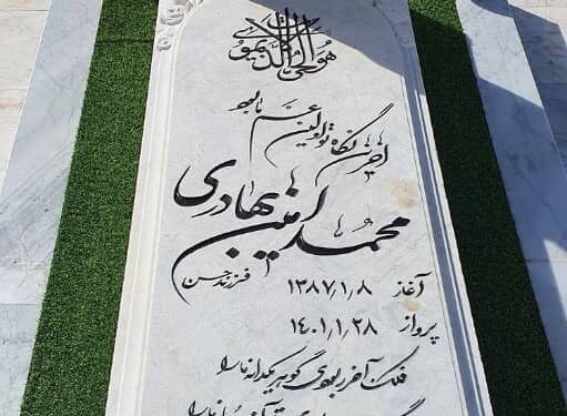 خانواده محمد امین بهادری خواهان تعیین تکلیف مرگ فرزندشان شدند