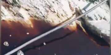 پوسته درختان رنگ آب را تغییر داد