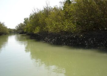 جاذبه سفر به آب های ساحلی بندر تیاب