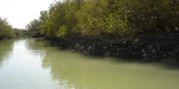 جاذبه سفر به آب های ساحلی بندر تیاب