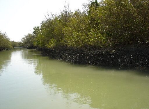 جاذبه سفر به آب های ساحلی بندر تیاب