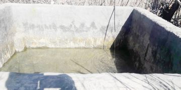 وقتی دارکوب ها باعث بی آبی می شوند