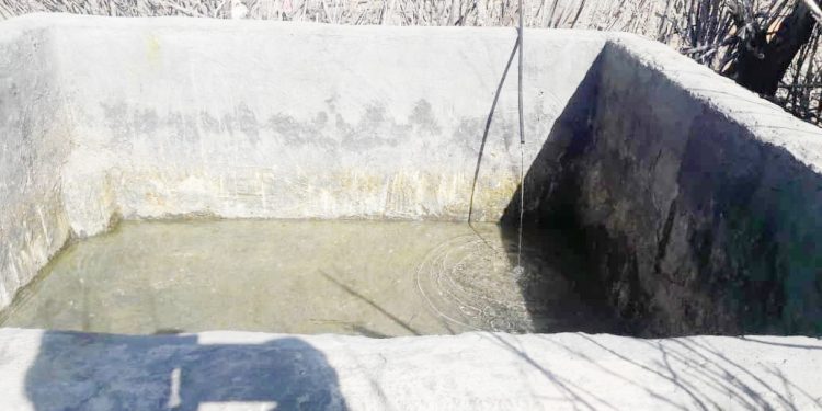 وقتی دارکوب ها باعث بی آبی می شوند