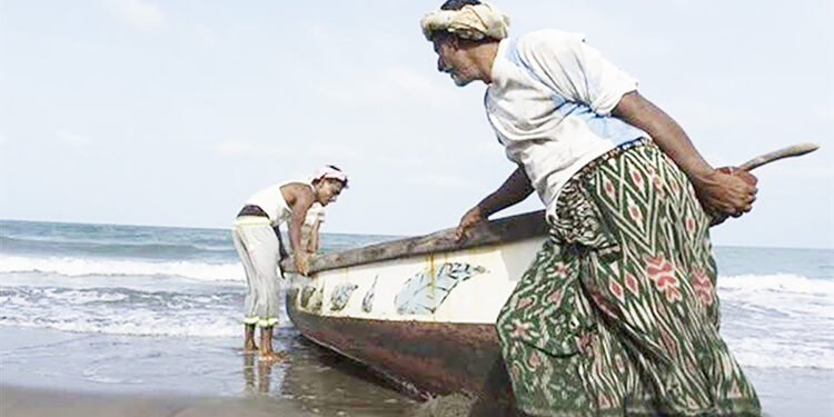 رئیس سازمان جهاد‌کشاورزی استان: ظرفیت سواحل در هرمزگان مغفول مانده است