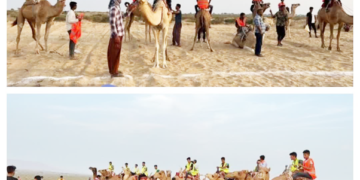 رقابت های شتر سواری در پیست روستای گورزین جزیره قشم