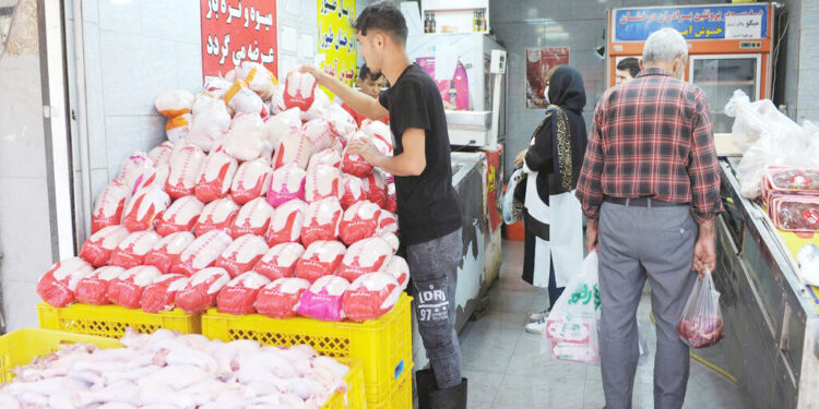 معاون بهبود تولیدات دامی سازمان جهاد کشاورزی هرمزگان:  الان بهترین زمان برای خرید و ذخیره سازی مرغ است