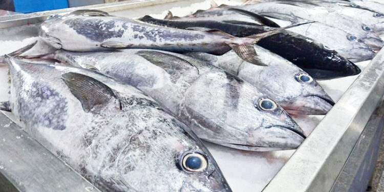 ارز آوری 86 میلیون دلاری صادرات آبزیان هرمزگان در سال جاری