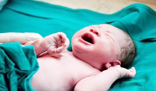 معاون بهداشتی دانشگاه علوم پزشکی هرمزگان: باروری و جوانی جمعیت یکی از اولویت‌های مهم بهداشت و درمان است