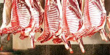 در نشست سفیر ایران در قزاقستان با رئیس اتاق بازرگانی هرمزگان انجام شد؛ بررسی زمینه های عرضه محصولات تولیدی هرمزگان در قزاقستان