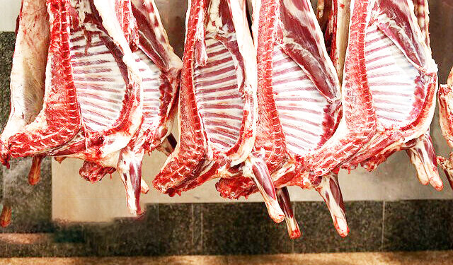 در نشست سفیر ایران در قزاقستان با رئیس اتاق بازرگانی هرمزگان انجام شد؛ بررسی زمینه های عرضه محصولات تولیدی هرمزگان در قزاقستان